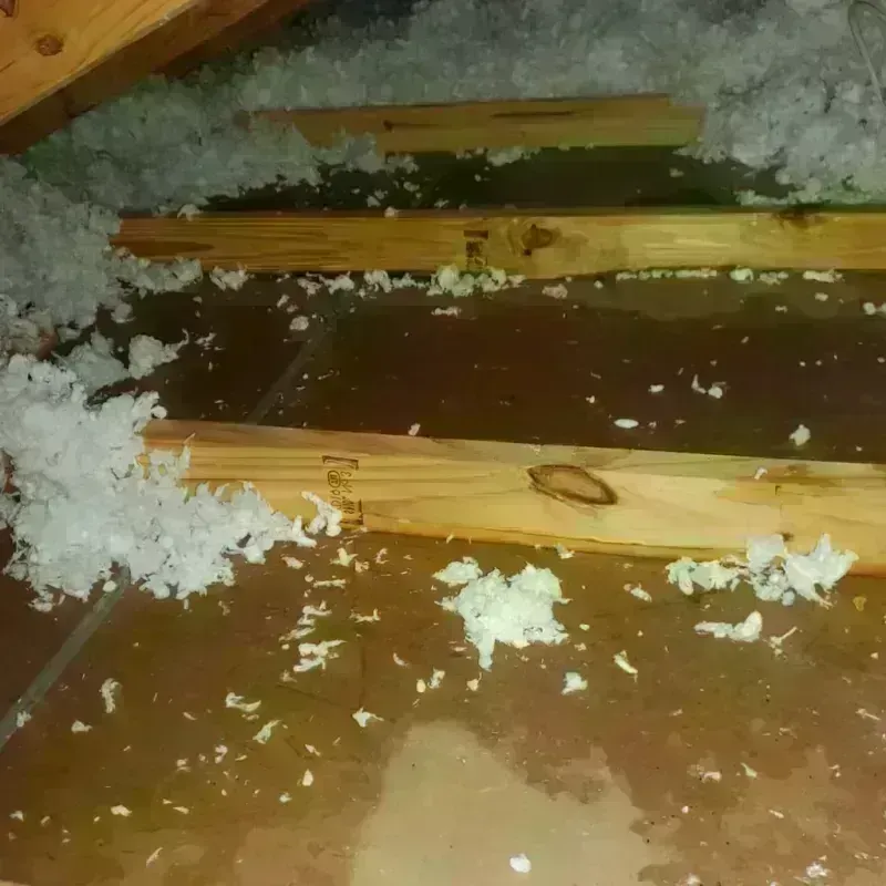 Attic Water Damage in Cortland, IL